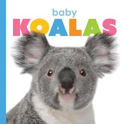Kate Riggs - Baby Koalas, Häftad