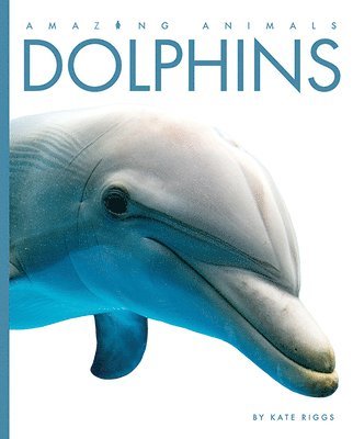 Kate Riggs - Dolphins, Häftad