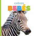 Cebras Bebs