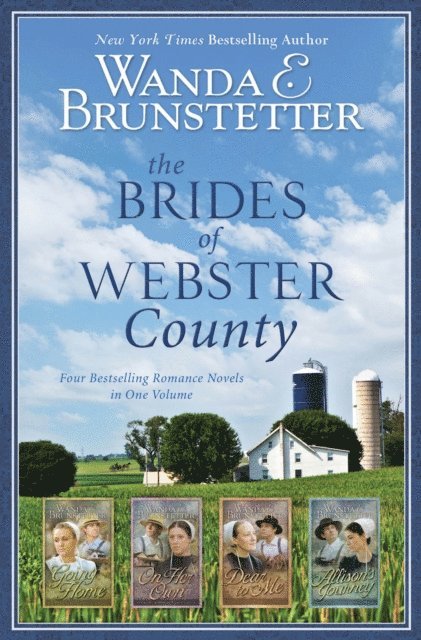 Wanda E. Brunstetter - Brides of Webster County, E-bok