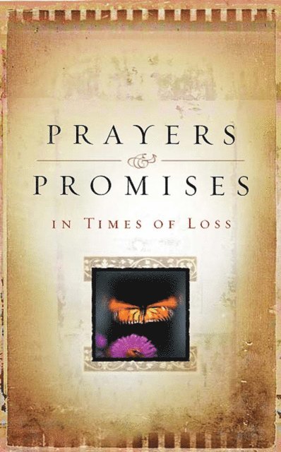 Pamela L. McQuade - Prayers And Promises In Times Of Loss, E-bok