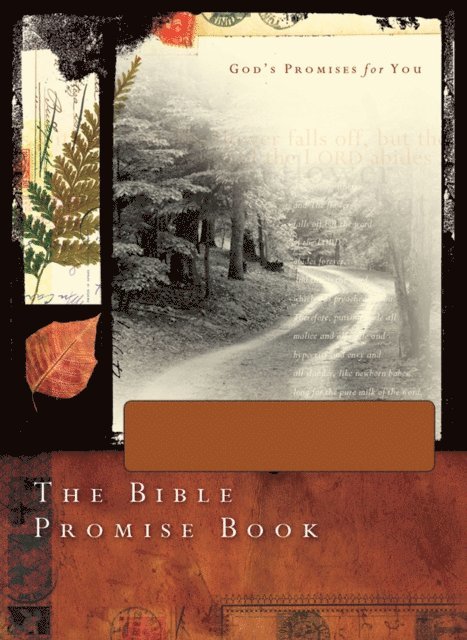 Barbour Publishing - Bible Promise Book - NLV Gift Edition, E-bok