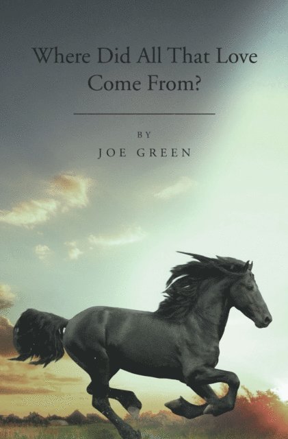 Joseph Green - Where Did All That Love Come From?, E-bok