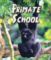 Jennifer Keats Curtis - Primate School, Inbunden. Tillgänglighet: Tillfälligt slut