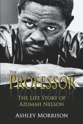 Ashley Morrison - Professor, Häftad