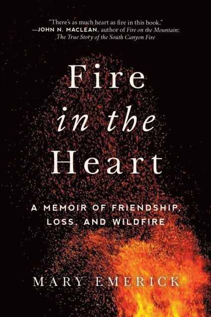 Mary Emerick - Fire in the Heart, E-bok