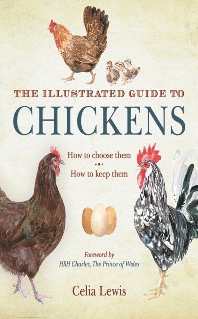 Celia Lewis - Illustrated Guide to Chickens, E-bok