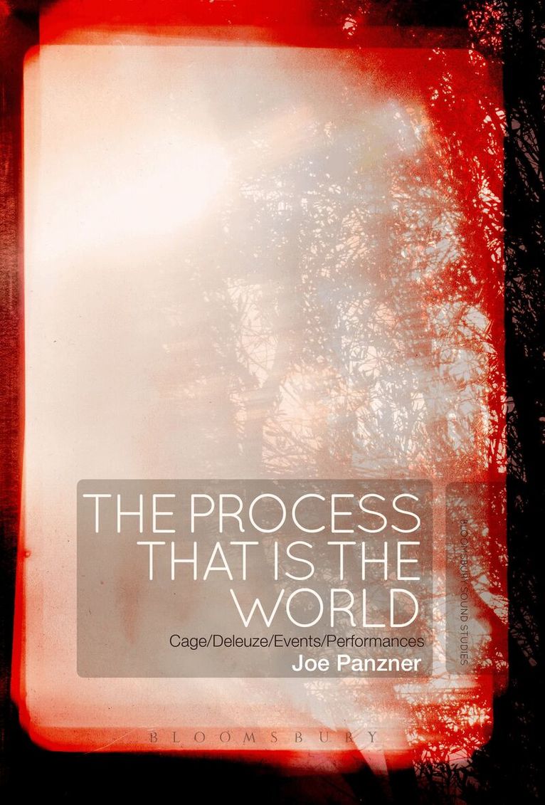 Joe Panzner - Process That Is the World, Inbunden. Tillgänglighet: Lägg i varukorg