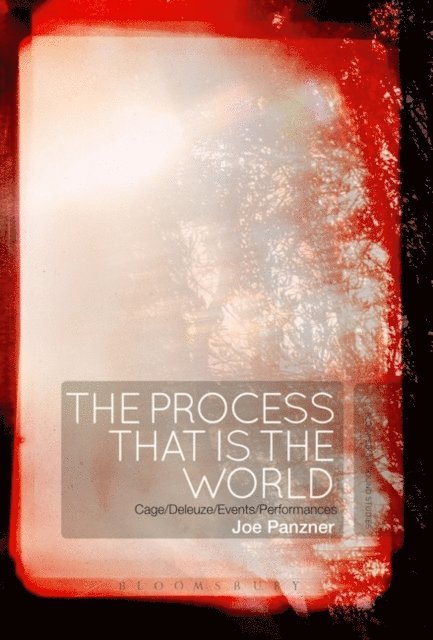 Process That Is the World