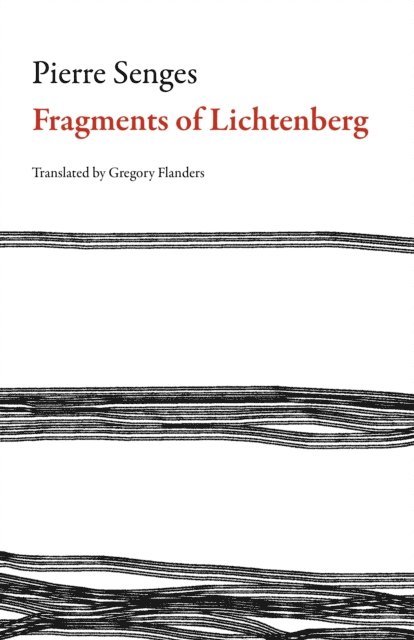 Pierre Senges - Fragments of Lichtenberg, E-bok