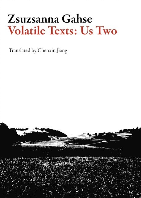 Zsuzsanna Gahse - Volatile Texts: Us Two, E-bok