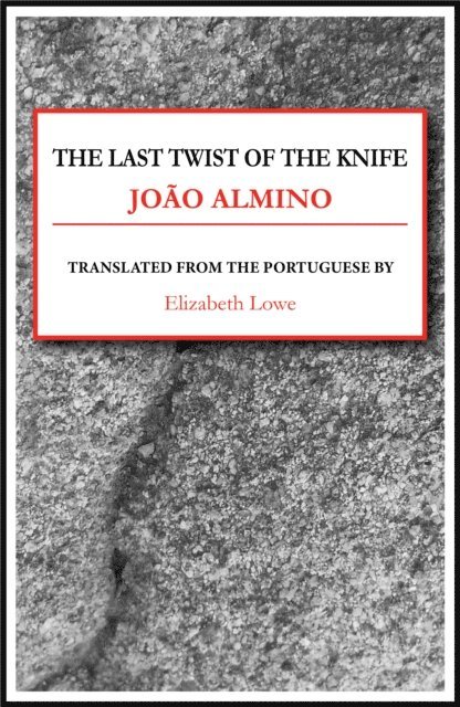 Joao Almino - Last Twist of the Knife, E-bok