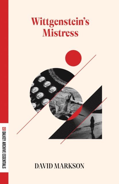 David Markson - Wittgenstein's Mistress, E-bok