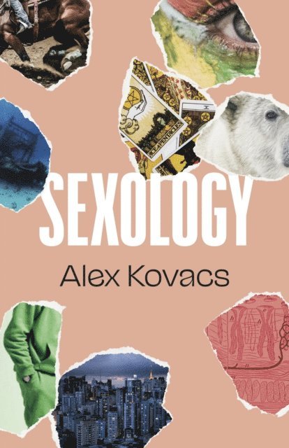 Alex Kovacs - Sexology, E-bok