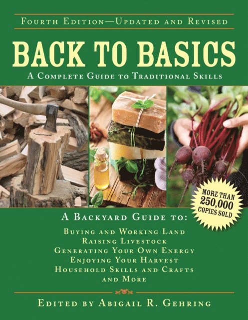Abigail Gehring - Back to Basics, E-bok