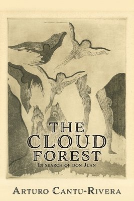 Arturo Cantu-Rivera - Cloud Forest, Häftad