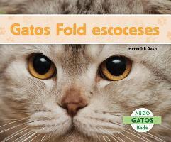 Gatos Fold Escoceses (Scottish Fold Cats)