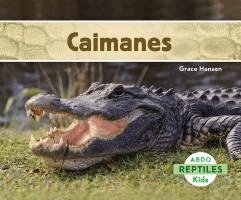 Grace Hansen - Caimanes (Alligators), Inbunden