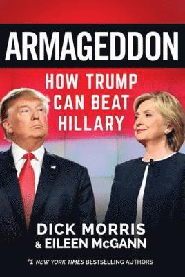 Eileen McGann, Dick Morris - Armageddon, E-bok