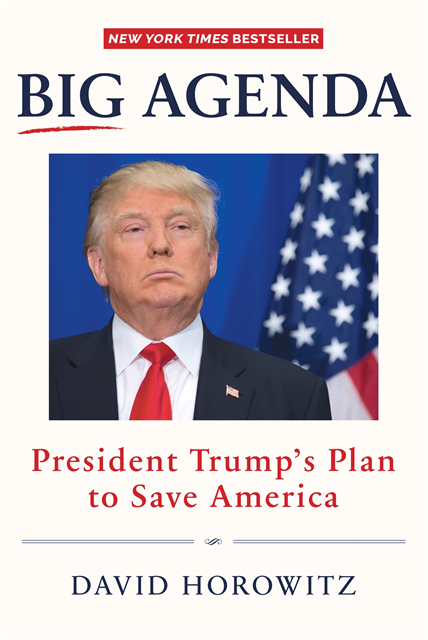 David Horowitz - Big Agenda, E-bok