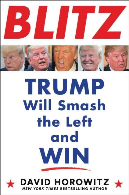 David Horowitz - Blitz, E-bok