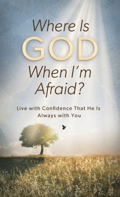 Pamela L. McQuade - Where Is God When I'm Afraid?, E-bok