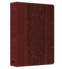 Large Print Study Bible-KJV