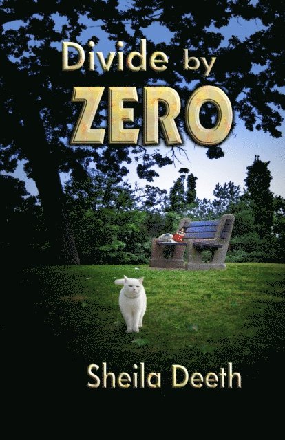 Sheila Deeth - Divide by Zero, E-bok