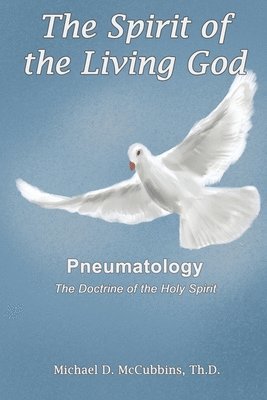 Michael D McCubbins - Spirit of the Living God, Häftad