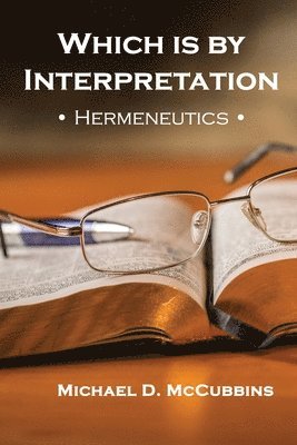 Michael D McCubbins - Which is by Interpretation, Häftad