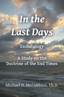 Michael D McCubbins - In the Last Days, Häftad