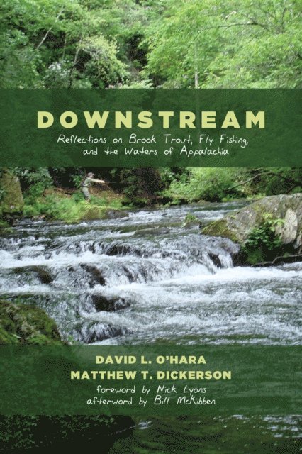 Matthew T. Dickerson, David L. O'Hara - Downstream, E-bok