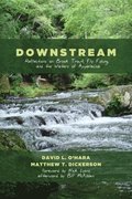 Downstream