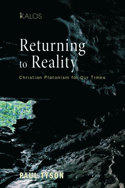 Paul Tyson - Returning to Reality, E-bok