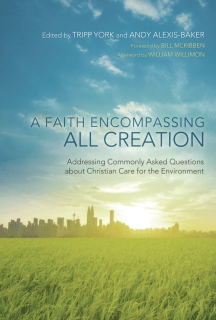 Andy Alexis-Baker, Tripp York - Faith Encompassing All Creation, E-bok