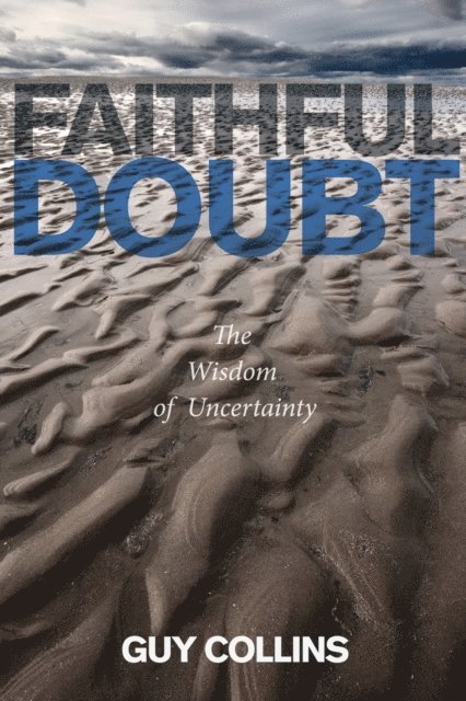 Guy Collins - Faithful Doubt, E-bok