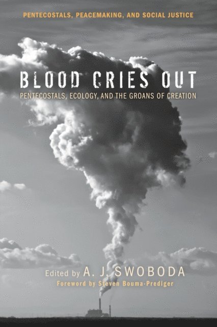 A. J. Swoboda - Blood Cries Out, E-bok