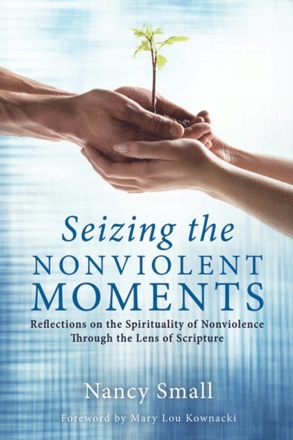 Nancy Small - Seizing the Nonviolent Moments, E-bok