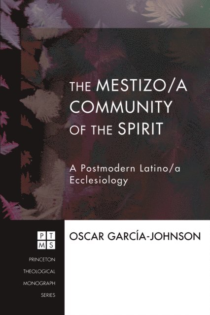 Oscar Garcia-Johnson - Mestizo/a Community of the Spirit, E-bok