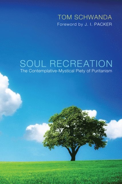 Tom Schwanda - Soul Recreation, E-bok