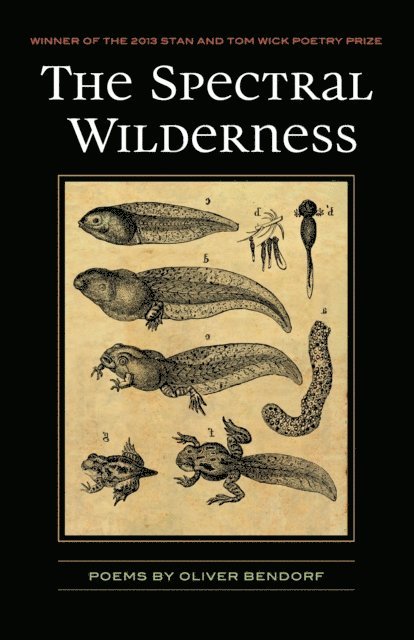 Oliver Baez Bendorf - Spectral Wilderness, E-bok