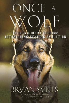Once a Wolf av Bryan Sykes