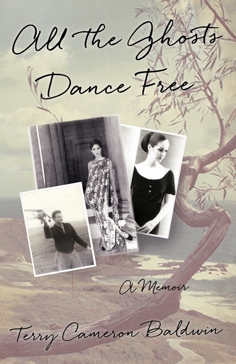 Terry Baldwin - All the Ghosts Dance Free, Häftad