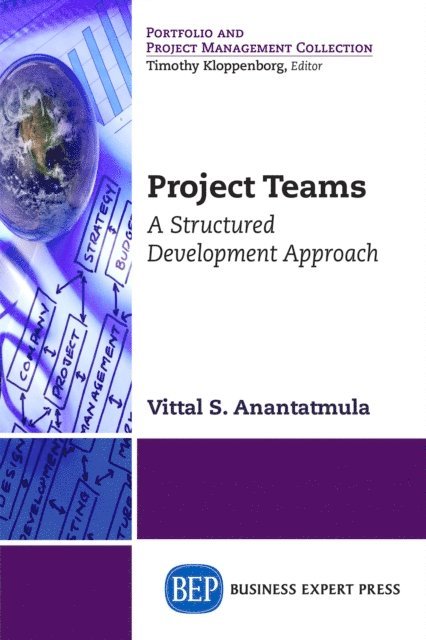 Vittal S. Anantatmula - Project Teams, E-bok