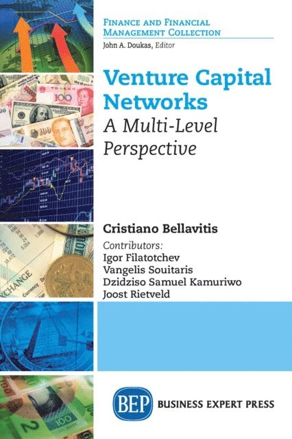 Cristiano Bellavitis - Venture Capital Networks, E-bok