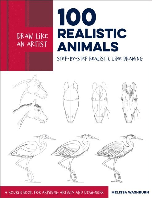 Melissa Washburn - Draw Like an Artist: 100 Realistic Animals, E-bok