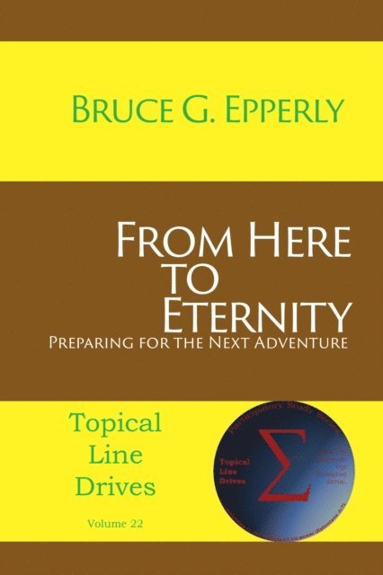 Bruce G Epperly - From Here to Eternity:, E-bok