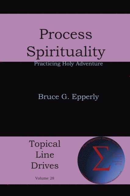 Bruce G Epperly - Process Spirituality, E-bok