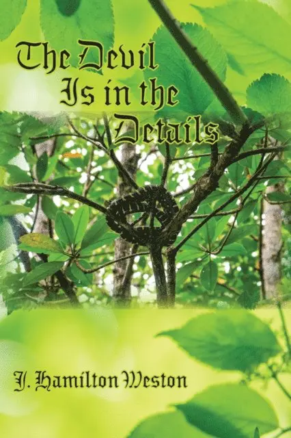 J Hamilton Weston - Devil Is in the Details, E-bok. Tillgänglighet: Lägg i varukorg