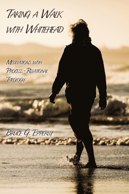 Bruce G. Epperly - Taking a Walk with Whitehead, E-bok
